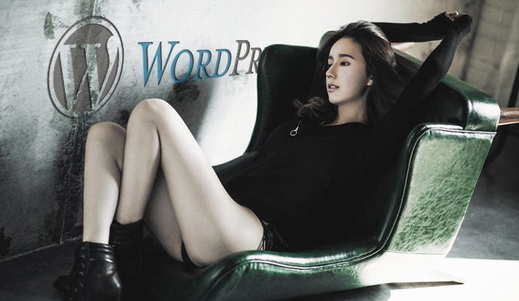 给你的WordPress网站添加固定的百度分享按钮-狐狸库