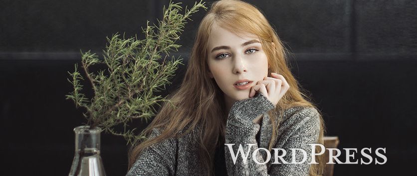 改变WordPress 仪表盘布局-狐狸库