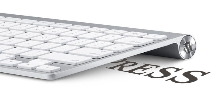 批量替换WordPress文章中的文字-狐狸库