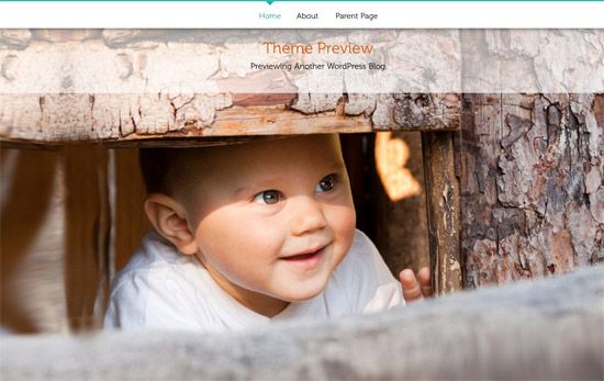 100款免费WordPress主题