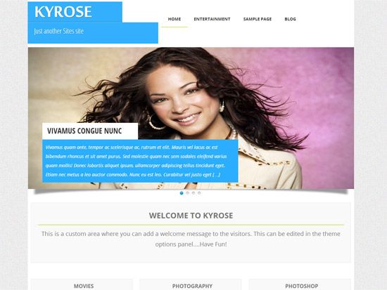 100款免费WordPress主题