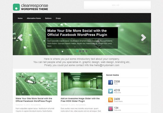 100款免费WordPress主题