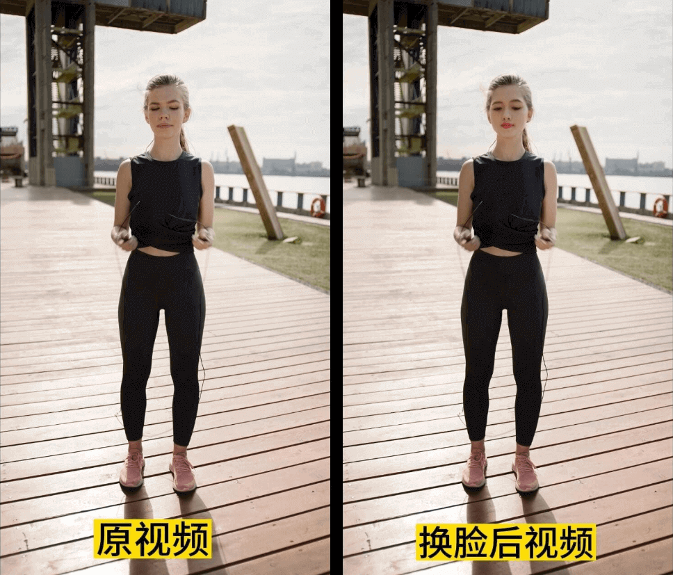 一张图实现视频或者图片换脸,AI人脸替换工具离线版V1.2完全免费!-狐狸库